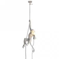 monkey-lamp-hanging-ceiling-light-with-rope-p4884-17281_medium