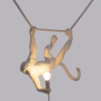 swing-monkey-lamp-hanging-ceiling-light-with-rope-p13321-54830_zoom