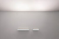 04-202511-rec_assymetric-001-WT-semiambient-lw