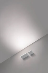 04-202511-rec_assymetric-003-WT-semiambient-lw