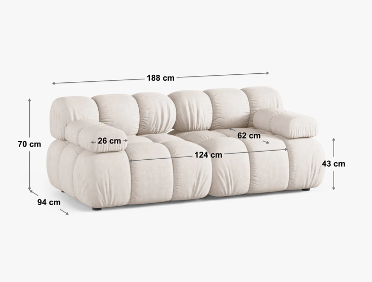 bellis size