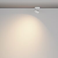 RENDER_Additional_perspective_C220CL_12W3K_W_low